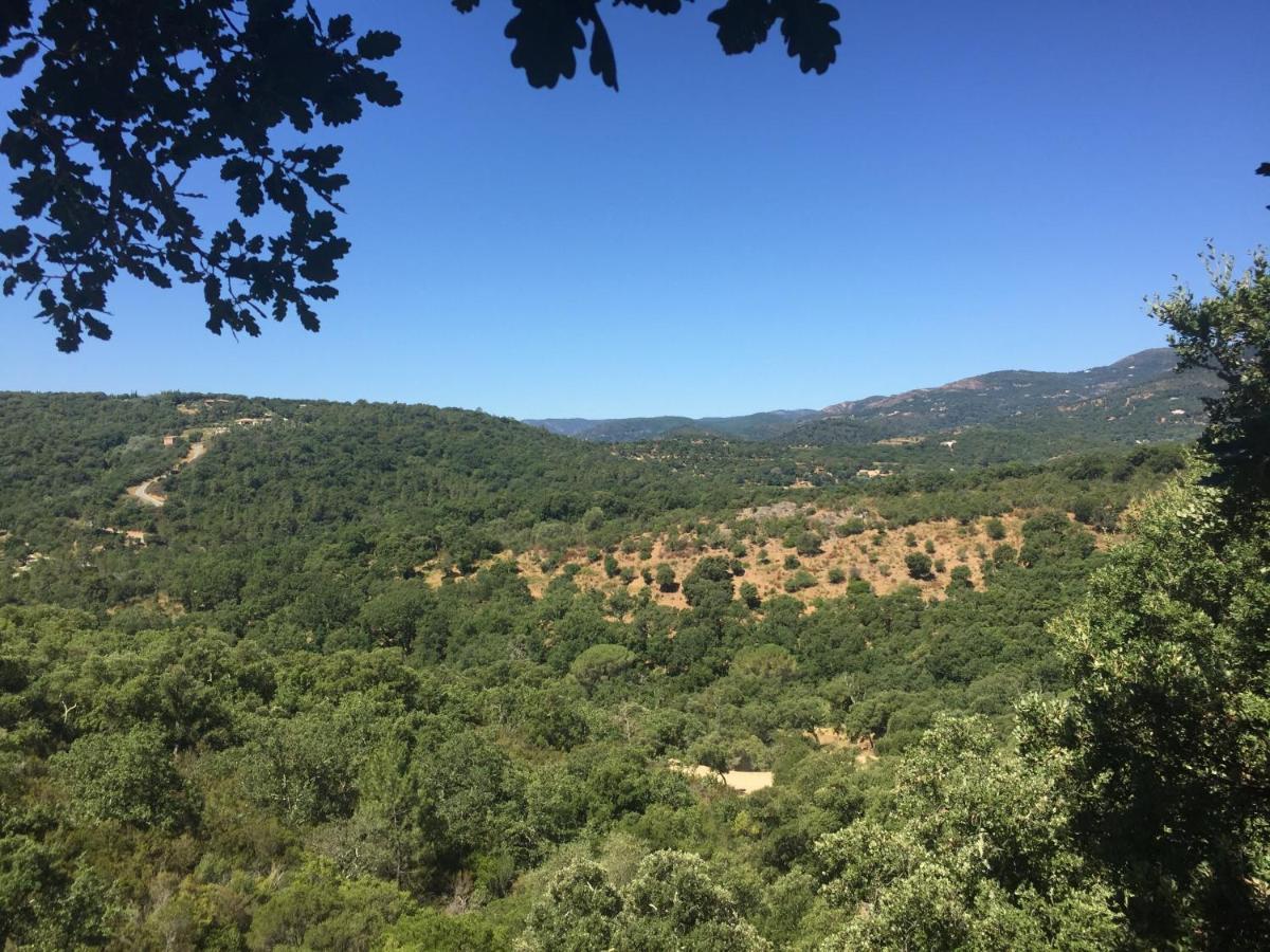 Bed and Breakfast Les Aurochs Grimaud Exterior foto